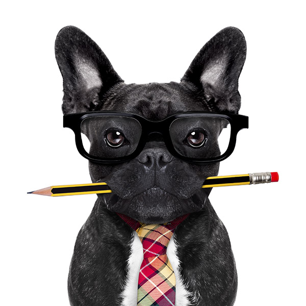 boekhouder vacature boekhouder